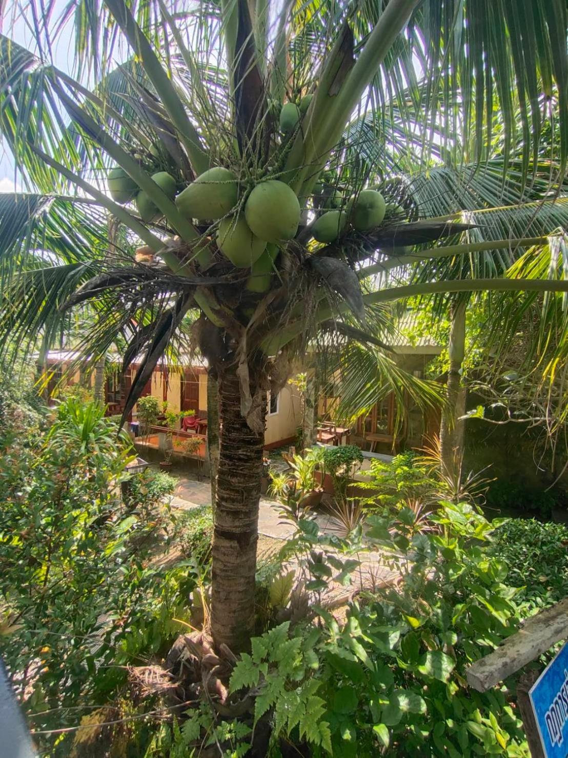 Lanta Riviera - Sha Ko Lanta